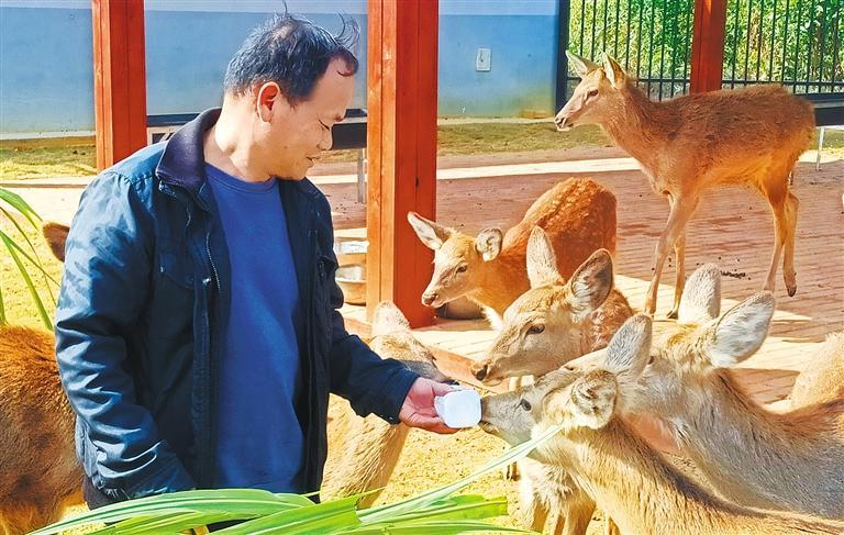 量发展产业调研】林下生金不朽情缘游戏手机版【高质(图2)