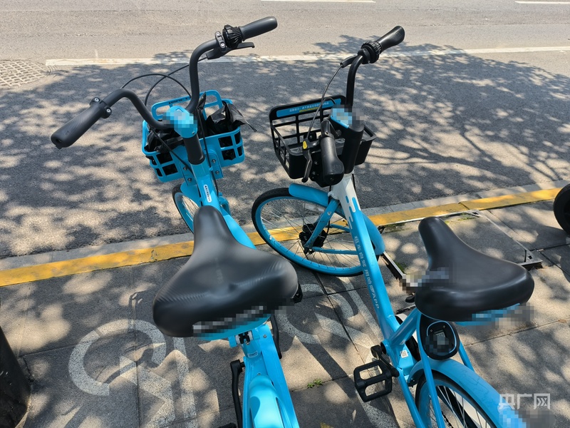 坐垫内有情趣用品律师称涉案人员或将面临行政拘留mg不朽情缘游戏网站登录上海警方通